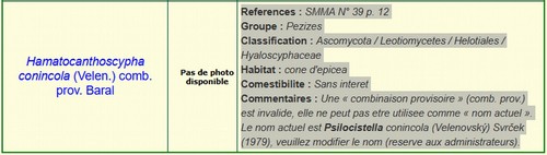 Psilocistella conicola -
